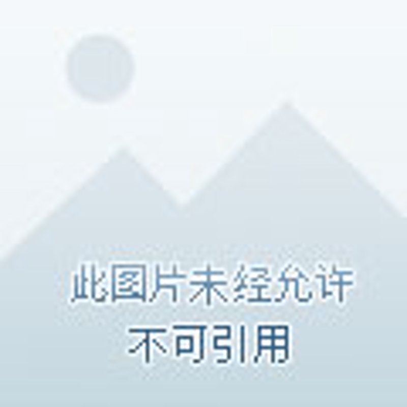 徐州：批发市场的新兴趋势